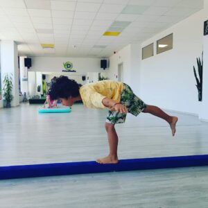 Gimnastica Artistica Copii Timisoara